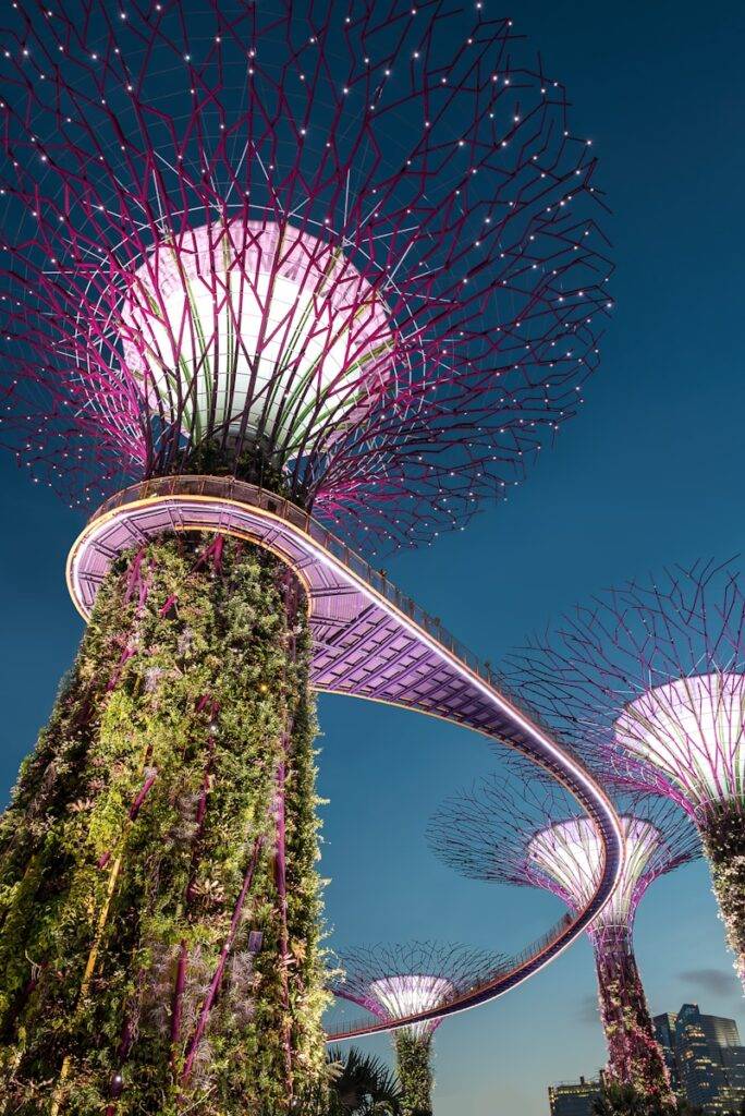 Dome Flowers in SIngapore