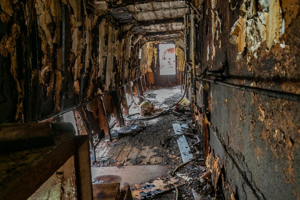 Mold Detection