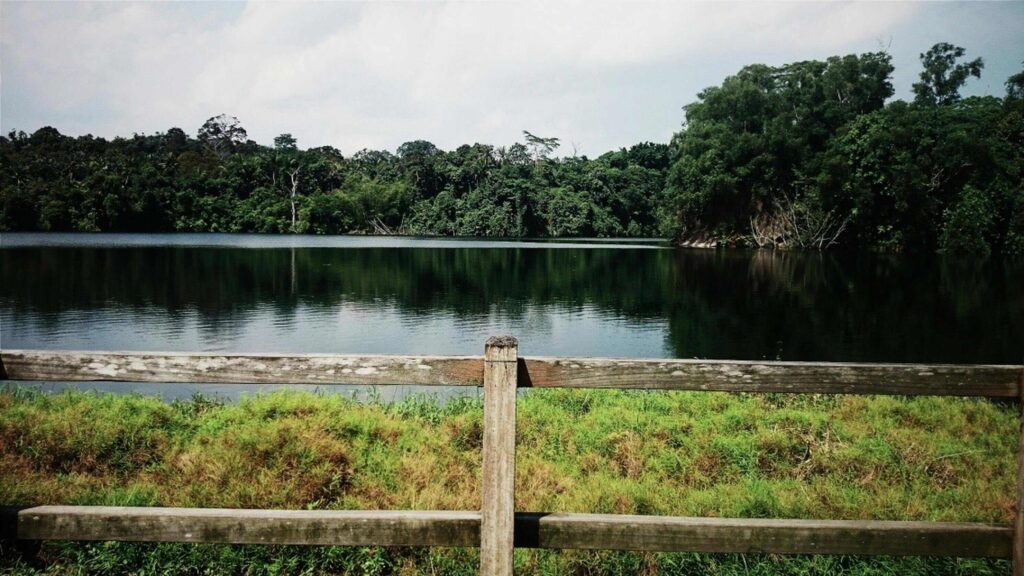 Singapore Startup Ecosystem